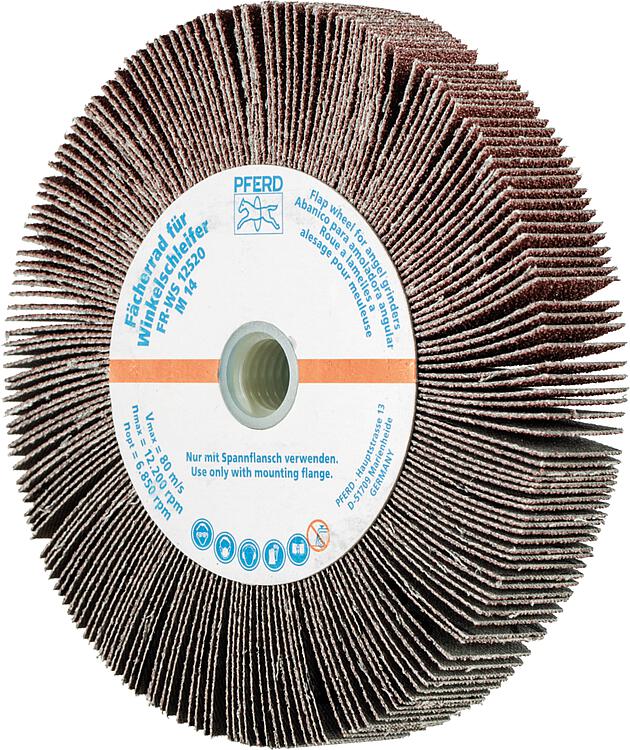 Fächerräder Pferd FR WS,  Ø 125 x 20, M14, Körnung A  60