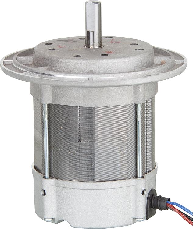Motor Riello 3005286 Motor Riello 3005286