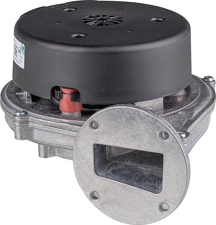 Gebläse, Wolf 213795099