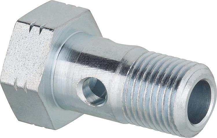 Hohlschraube R 1/8"a. für Schlauch 10 mm Ring Hohlschraube R 1/8"a. für Schlauch 10 mm Ring