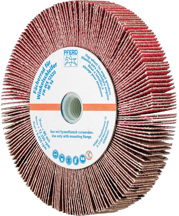 Fächerräder Pferd FR WS,  Ø 125 x 20, M14, Körnung A  80