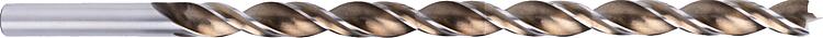 Holzspiralbohrer Alpen HSS Ø 10,0 mm, Länge 250 mm