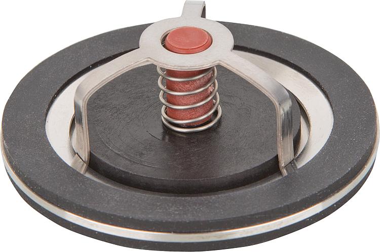 TopInset Rückschlagventil und Schwerkraftbremsen Typ 73 DN32 1 1/4"