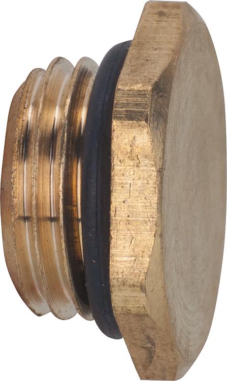 Entleerungsstopfen mit O-Ring Oberfläche: Messing 1836 1/4" "EINZELN" Entleerungsstopfen mit O-Ring Oberfläche: Messing 1836 1/4" "EINZELN"