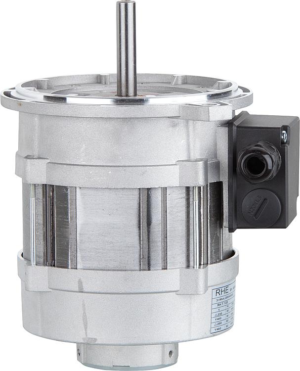 Gebläsemotor Riello 3006716 Gebläsemotor Riello 3006716