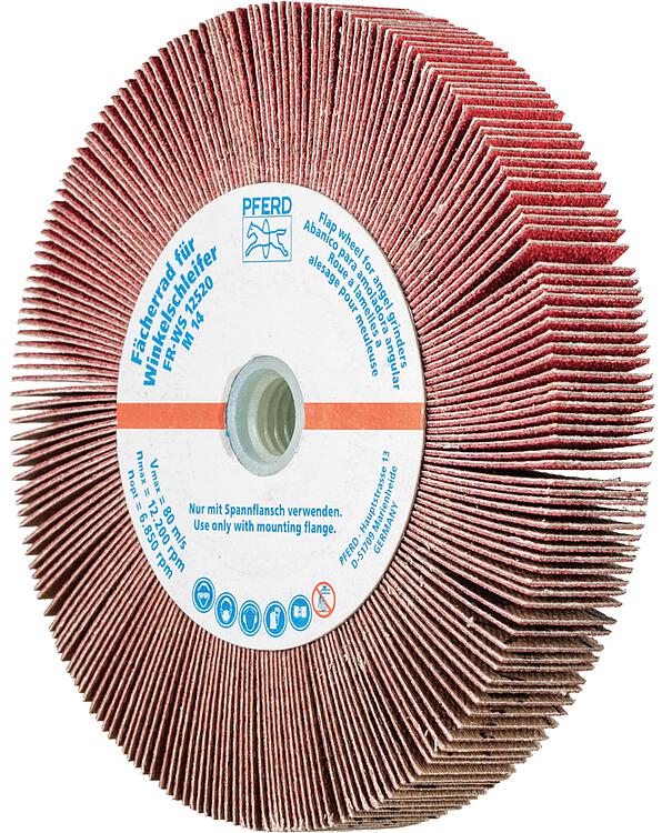 Fächerräder Pferd FR WS,  Ø 125 x 20, M14, Körnung A  120