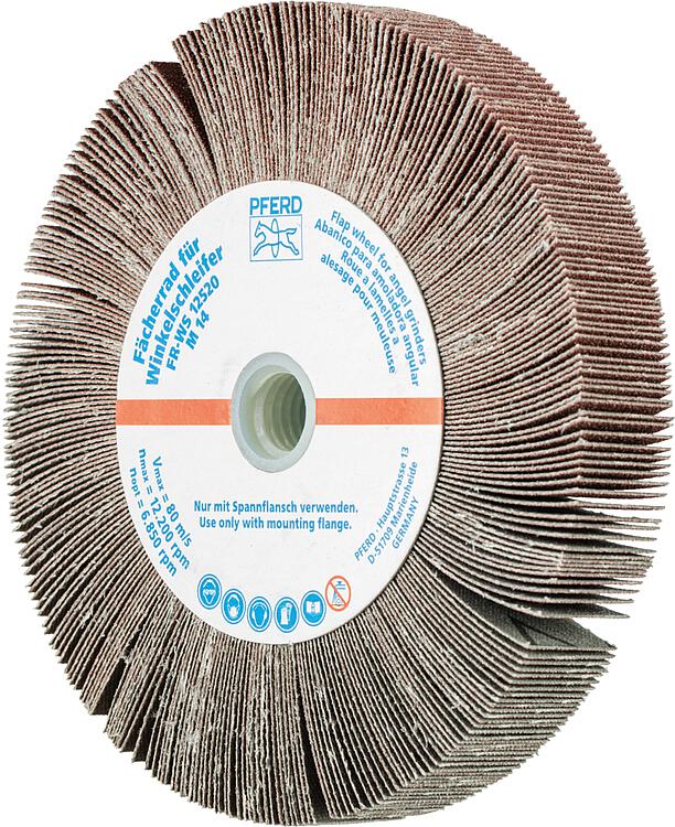 Fächerräder Pferd FR WS,  Ø 125 x 20, M14, Körnung A  120