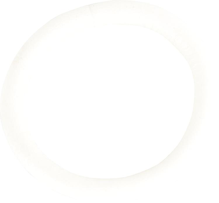 O-Ring für De Dietrich 0284236 O-Ring für De Dietrich 0284236