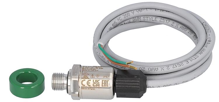 Drucksensor Typ 528, DN8(1/4") Drucksensor Typ 528, DN8(1/4")