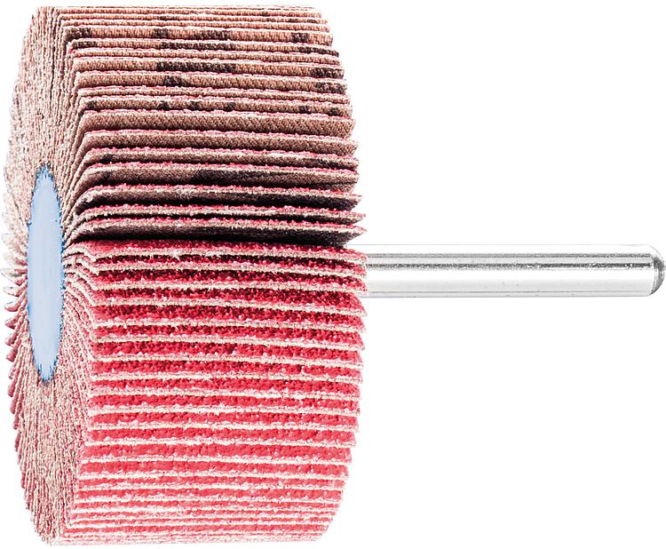 Fächerschleifer Pferd F, Ø 60 x 30 mm, Schaft-Ø 6 mm, Körnung A 80