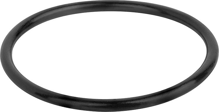Dichtung O-Ring Schütz Ø 53 x 3,5 mm Dichtung O-Ring Schütz Ø 53 x 3,5 mm