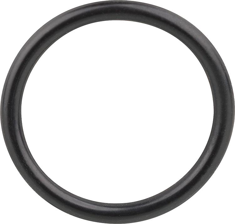 O-Ring 21,89 x 2,62mm O-Ring 21,89 x 2,62mm
