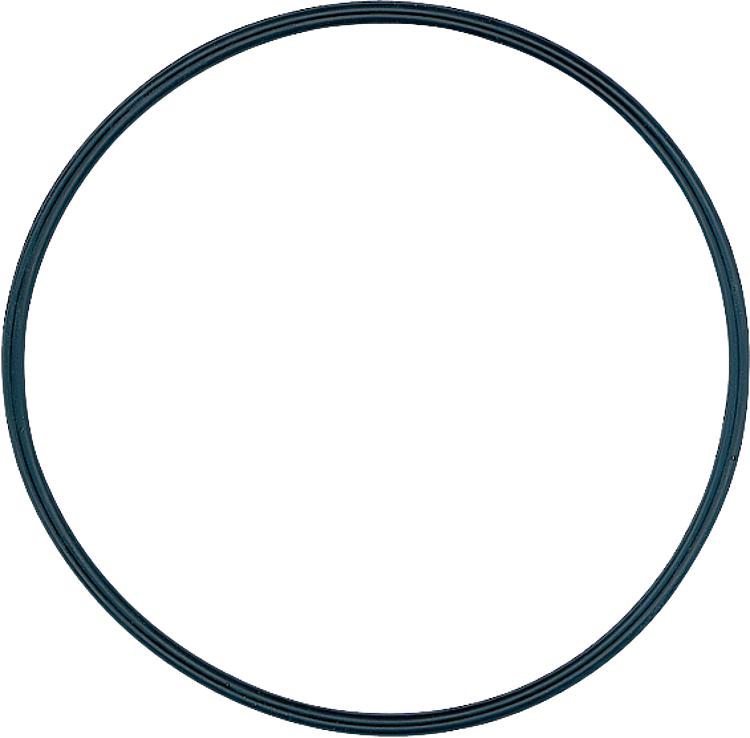 O-Ring (Deckeldicht.) 3007162 EINZELN