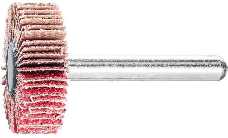 Fächerschleifer Pferd F, Ø 30 x 10 mm, Schaft-Ø 6 mm, Körnung A 80