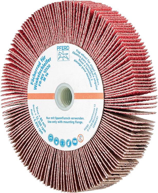 Fächerräder Pferd FR WS,  Ø 125 x 20, M14, Körnung A  60