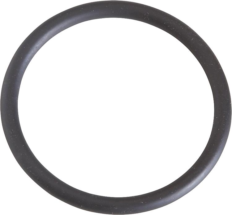 O-Ring für Flansche passend zu Minisit 710 Ref. 0.925.034