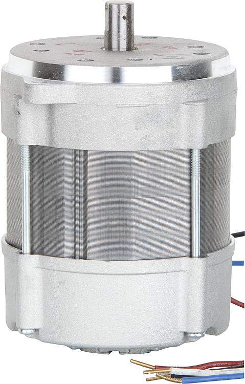 Motor Riello 3005820 Motor Riello 3005820